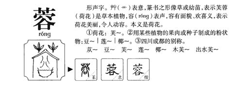 蓉名字意思|蓉（汉语汉字）